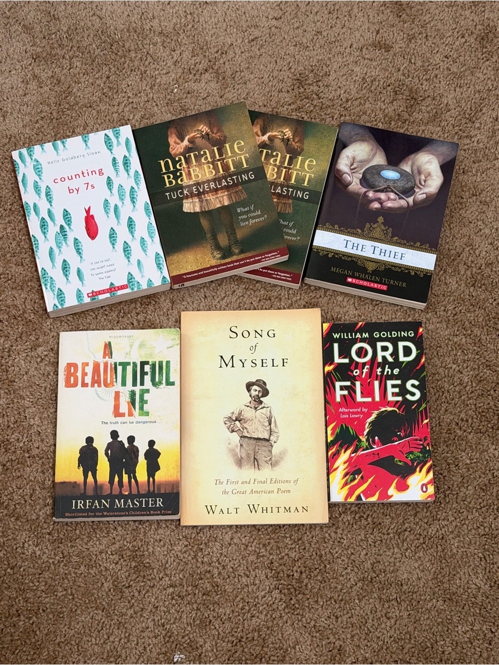 School Required Reading Books-Assorted Paperback Books Collection